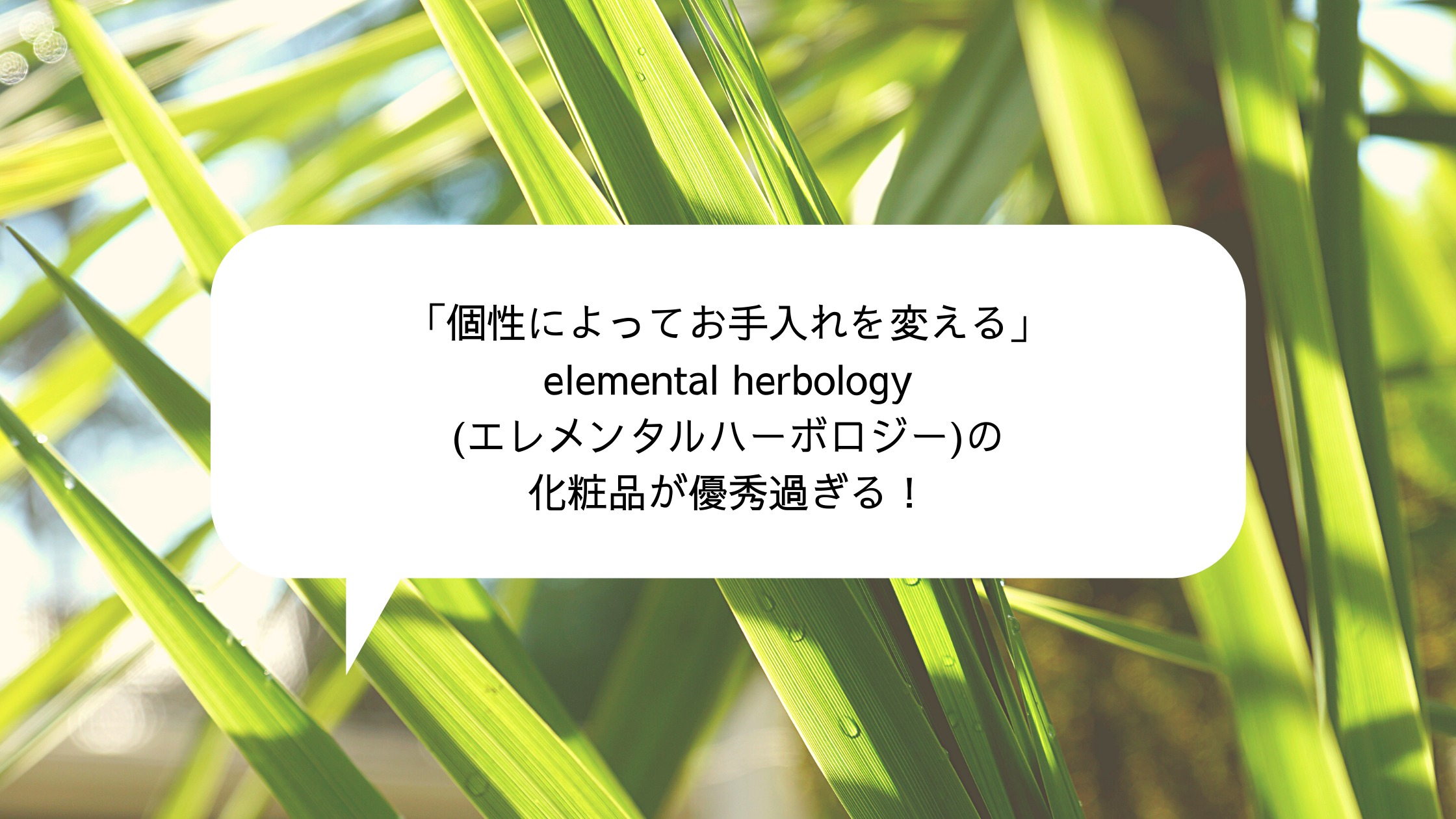 個性によってお手入れを変える Elemental Herbology エレメンタルハーボロジー の化粧品が優秀過ぎる